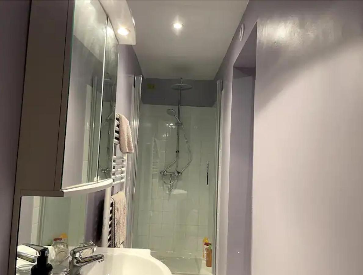 Appartement Avec Parking Gratuit Et Wifi Vierzon Eksteriør bilde