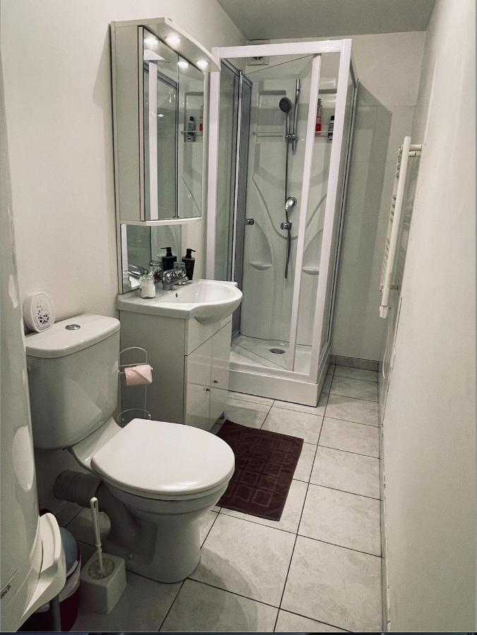 Appartement Avec Parking Gratuit Et Wifi Vierzon Eksteriør bilde