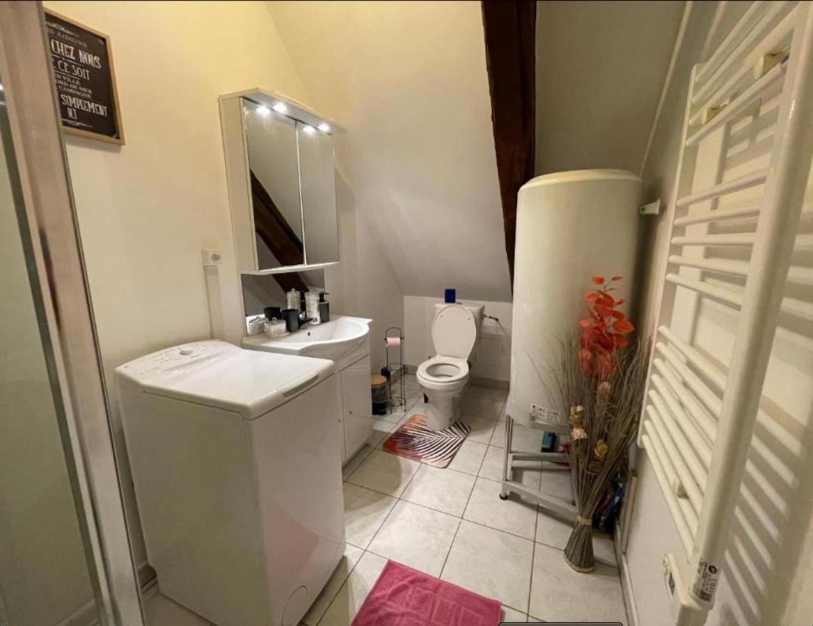 Appartement Avec Parking Gratuit Et Wifi Vierzon Eksteriør bilde