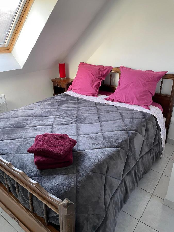 Appartement Avec Parking Gratuit Et Wifi Vierzon Eksteriør bilde