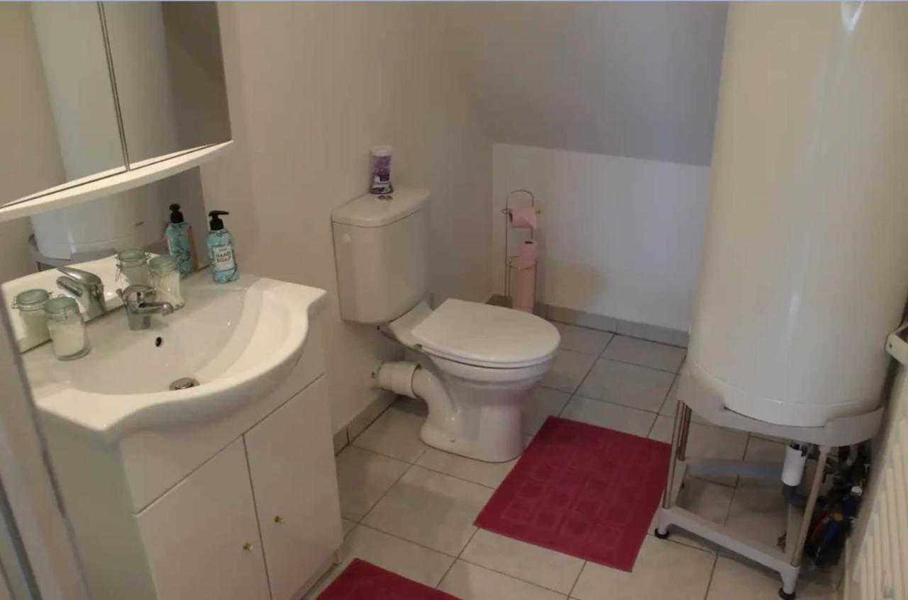 Appartement Avec Parking Gratuit Et Wifi Vierzon Eksteriør bilde