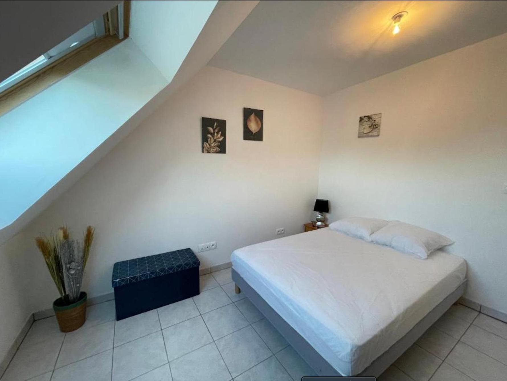 Appartement Avec Parking Gratuit Et Wifi Vierzon Eksteriør bilde